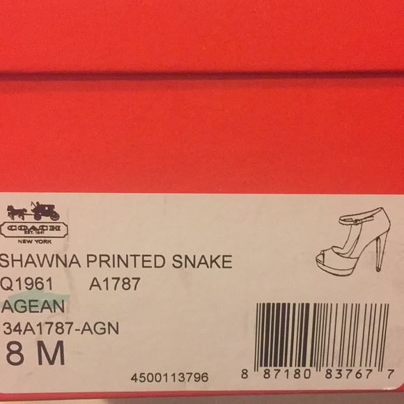 AUTHENTIC COACH SHOE - PRINTED SNAKE - Picture 7 of 7